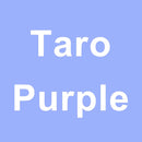 Samsung Galaxy S25/S24 Plus Screen Protector Translucent Magnetic Case